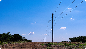 transmissiob_line_card