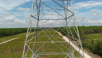 transmission-florida