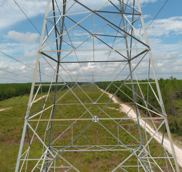 transmission-florida